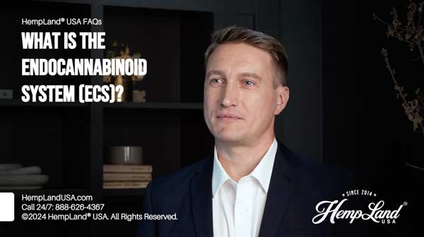 Watch What is The Endocannabinoid System (ECS)?